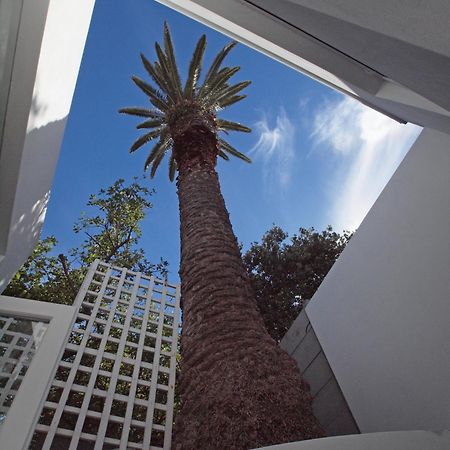 Bella Ev Guest House Muizenberg Extérieur photo